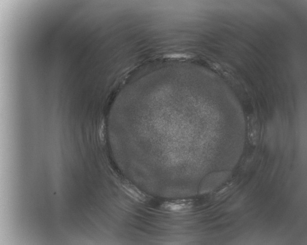 X0000063500563200602032020