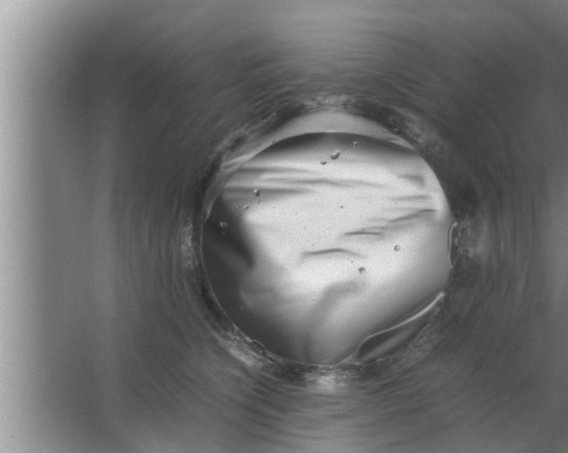 X0000063500564200602032020