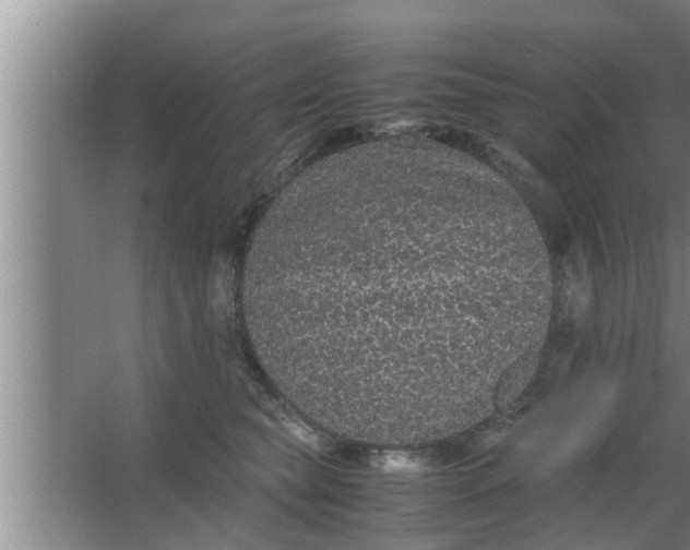 X0000063500565200602032020