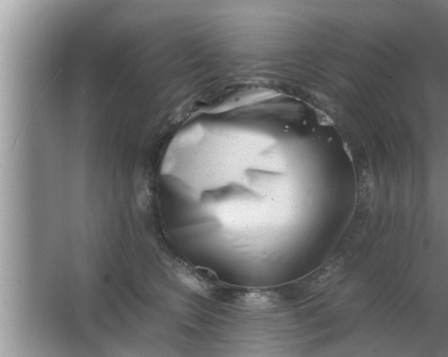 X0000063500566200602032020