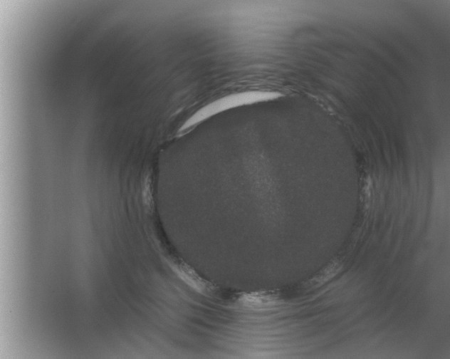 X0000063500568200602032020