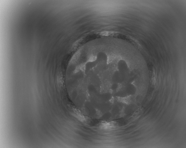 X0000063500569200602032020