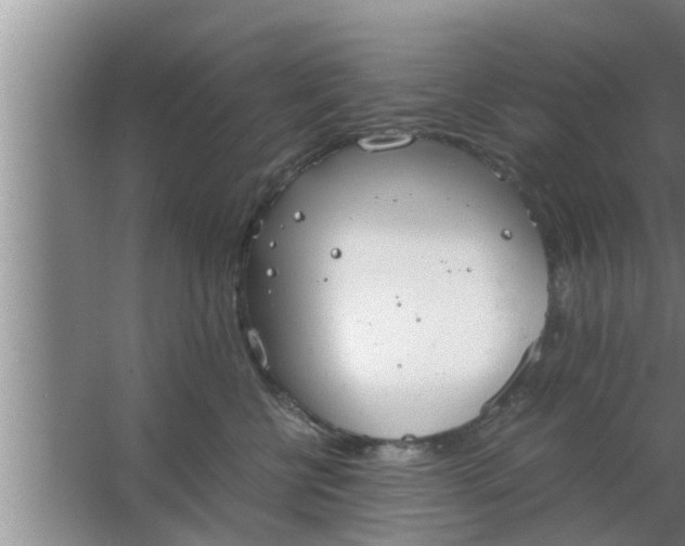 X0000063500570200602032020