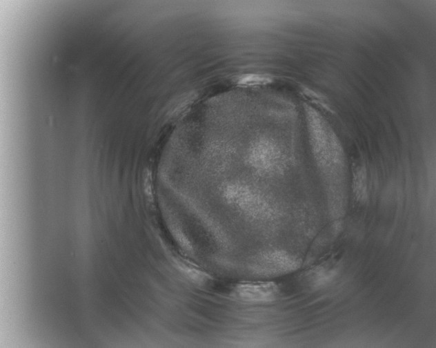 X0000063500571200602032020