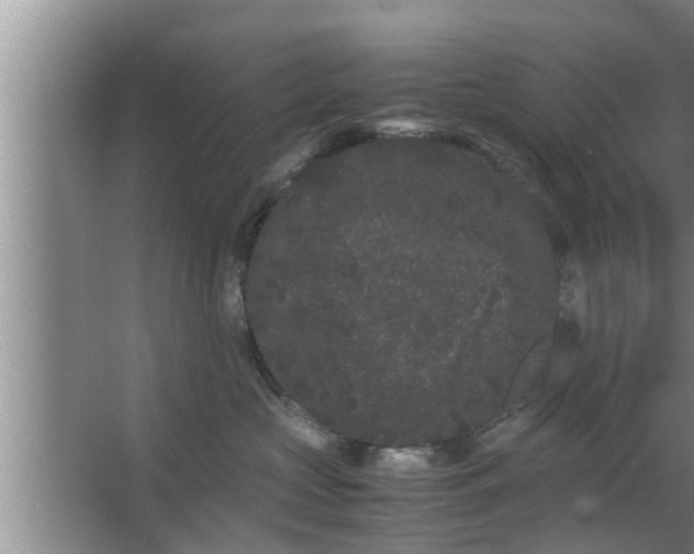 X0000063500573200602032020