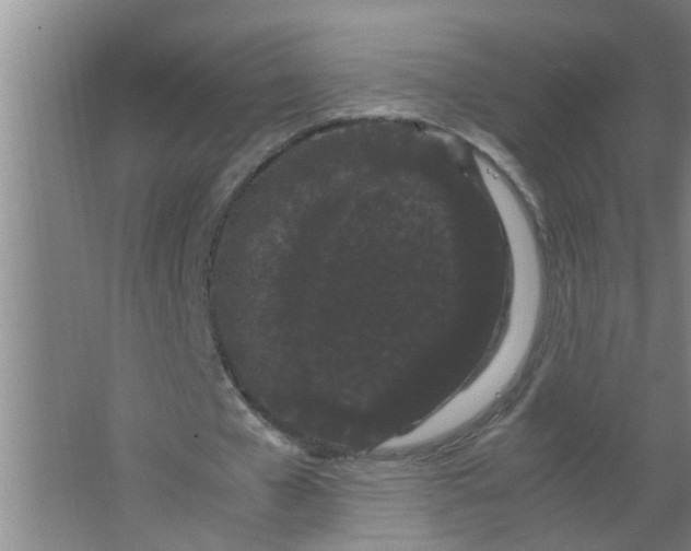 X0000063500577200602032020