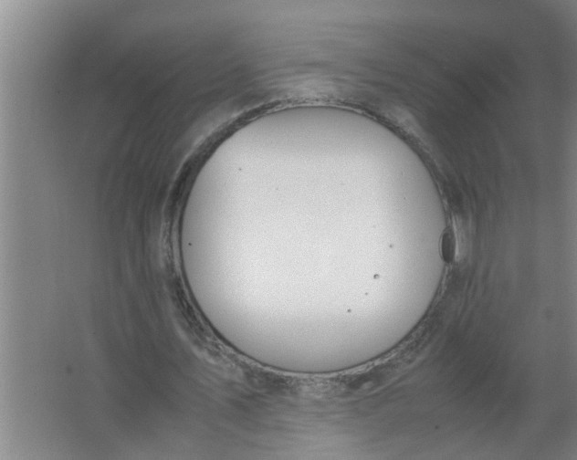 X0000063500579200602032020