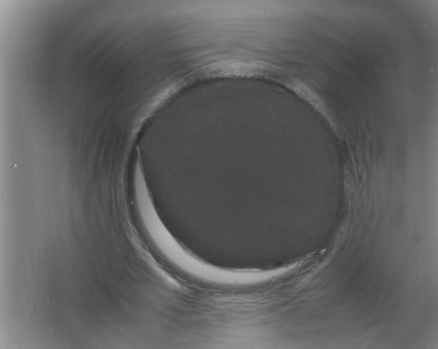 X0000063500581200602032020