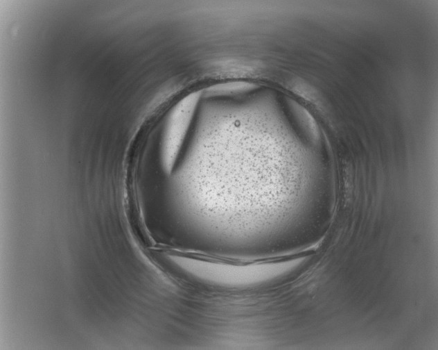 X0000063500582200602032020