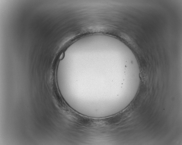 X0000063500583200602032020