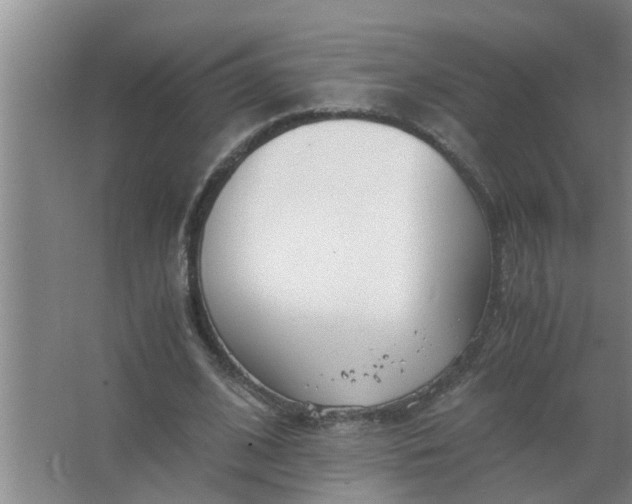 X0000063500584200602032020