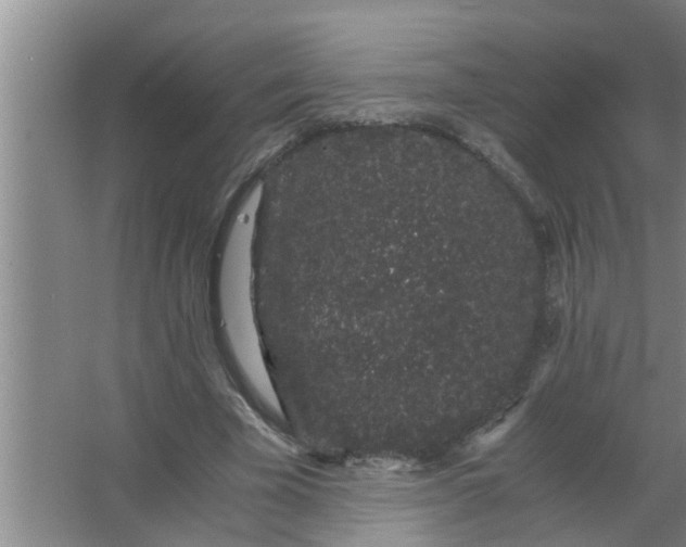 X0000063500585200602032020