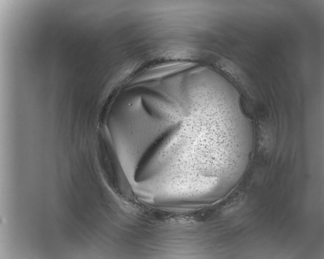 X0000063500586200602032020