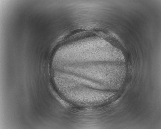 X0000063500589200602032019