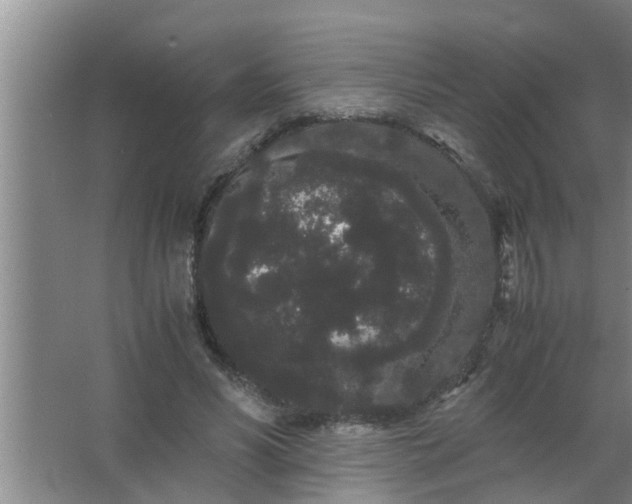 X0000063500590200602032019