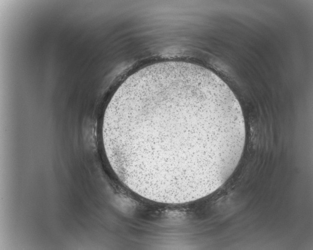 X0000063500592200602032019