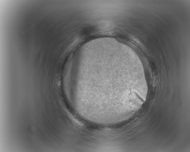 X0000063500593200602032019