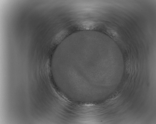 X0000063500594200602032019