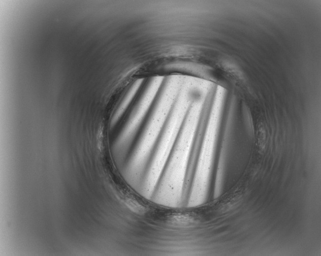 X0000063500596200602032019