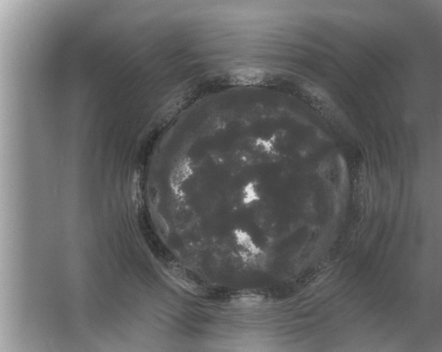 X0000063500598200602032019