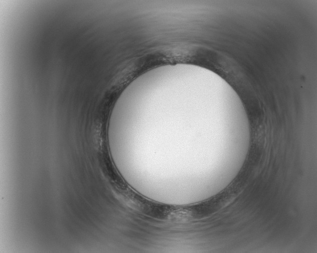 X0000063500599200602032019