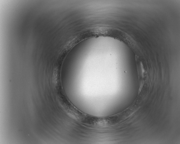 X0000063500600200602032019