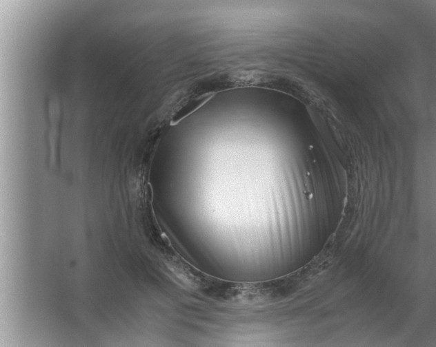 X0000063500601200602032019