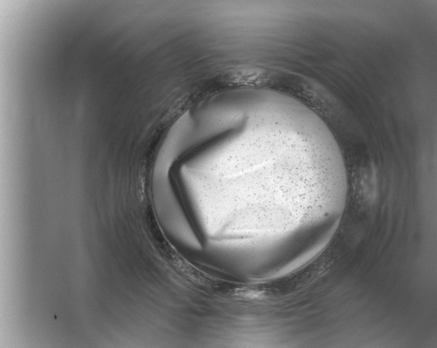 X0000063500602200602032019