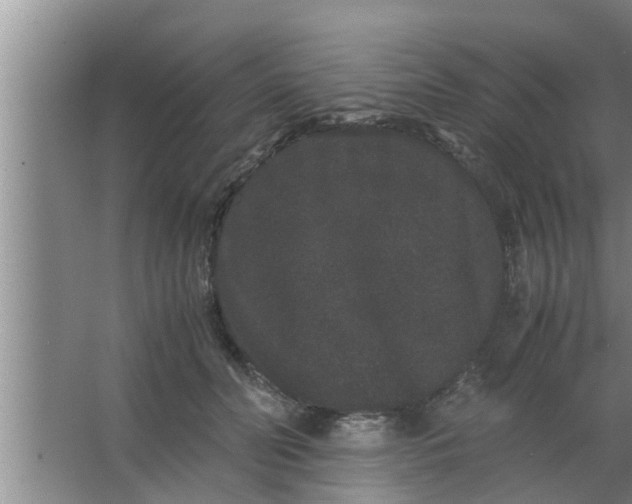 X0000063500606200602032019