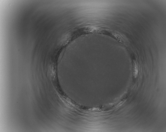 X0000063500607200602032019