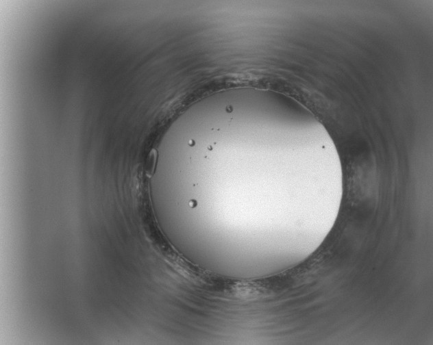 X0000063500608200602032019