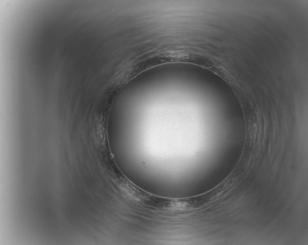 X0000063500609200602032019