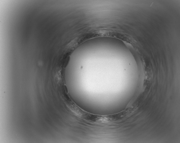 X0000063500611200602032019