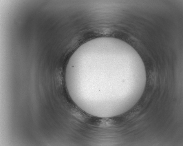 X0000063500612200602032019