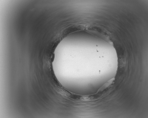 X0000063500613200602032019