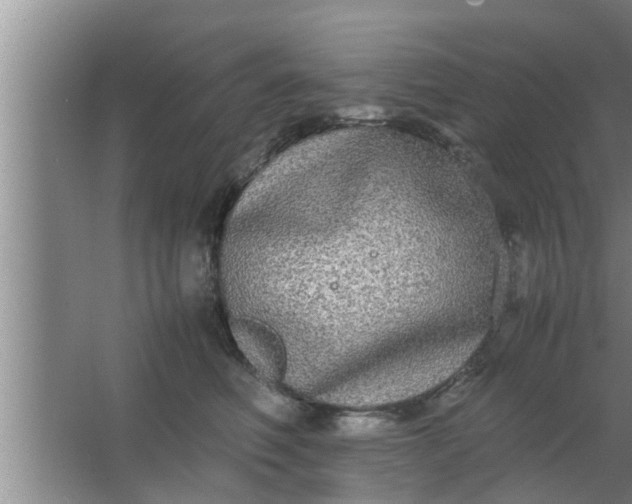 X0000063500614200602032019