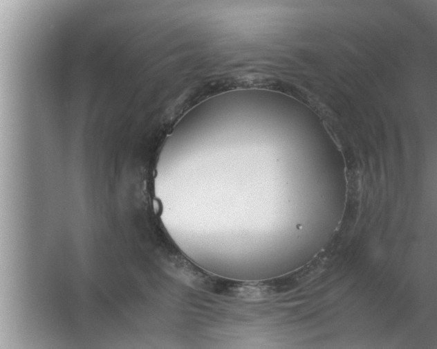 X0000063500615200602032019