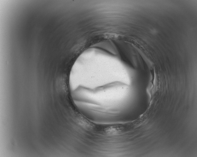 X0000063500616200602032019