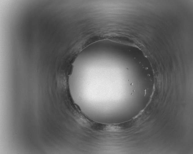 X0000063500617200602032019