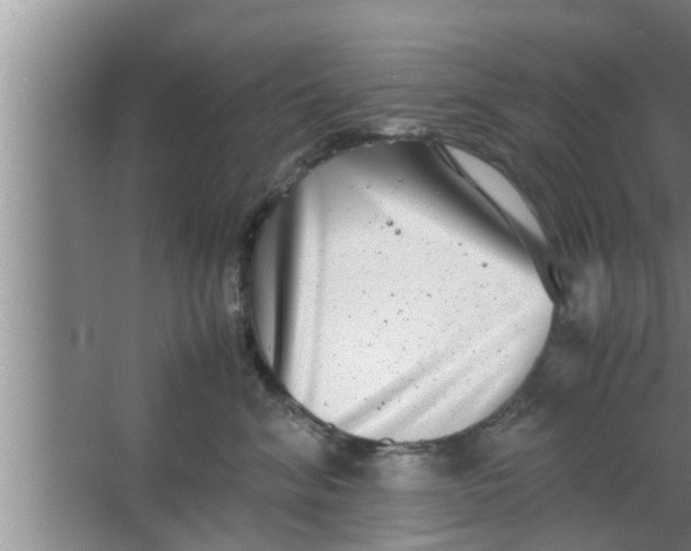 X0000063500620200602032019