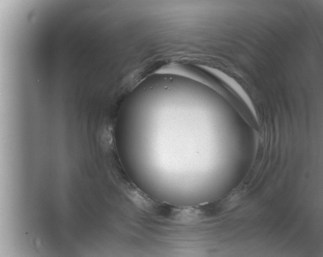 X0000063500621200602032019