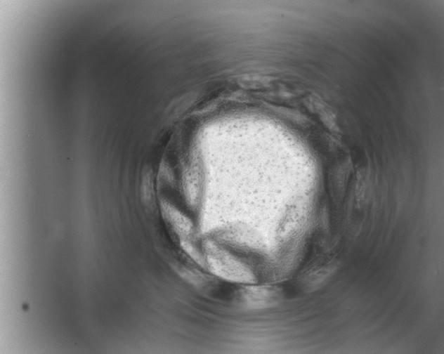 X0000063500623200602032019