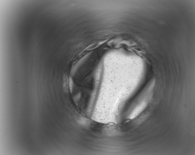 X0000063500624200602032019