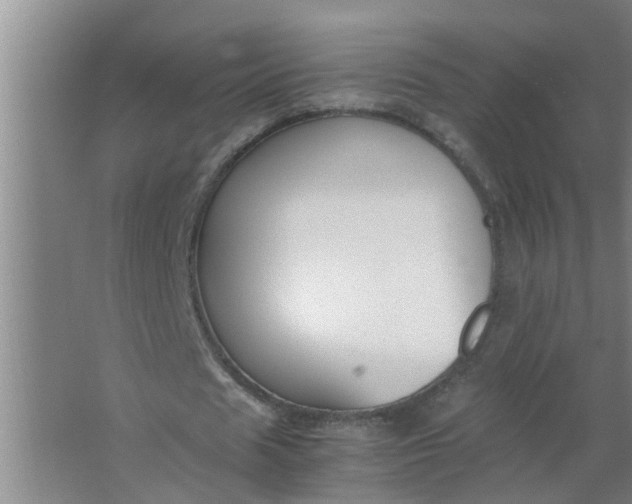 X0000063500625200602032018