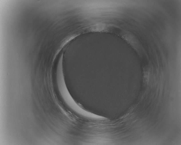 X0000063500626200602032018