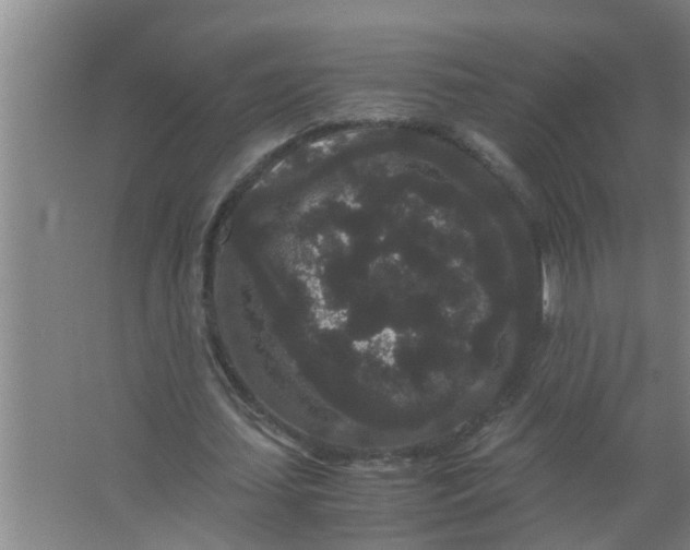 X0000063500627200602032018