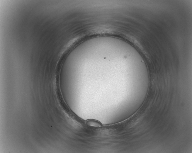 X0000063500629200602032018