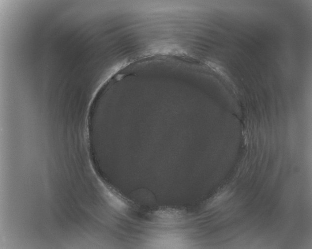 X0000063500630200602032018