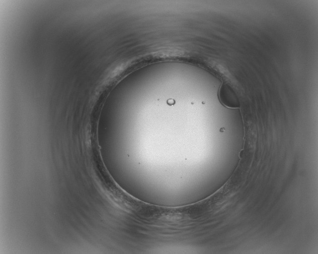 X0000063500631200602032018