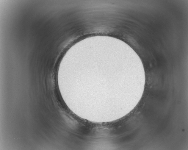 X0000063500632200602032018